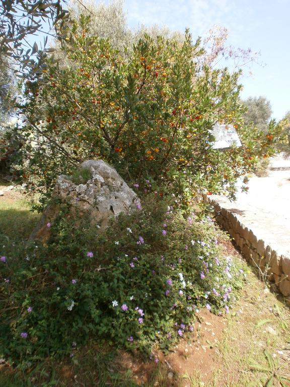 Trullo Villa Giuliana Con Giardino Posizione Panoramica Free Wifi Ostuni Exterior foto