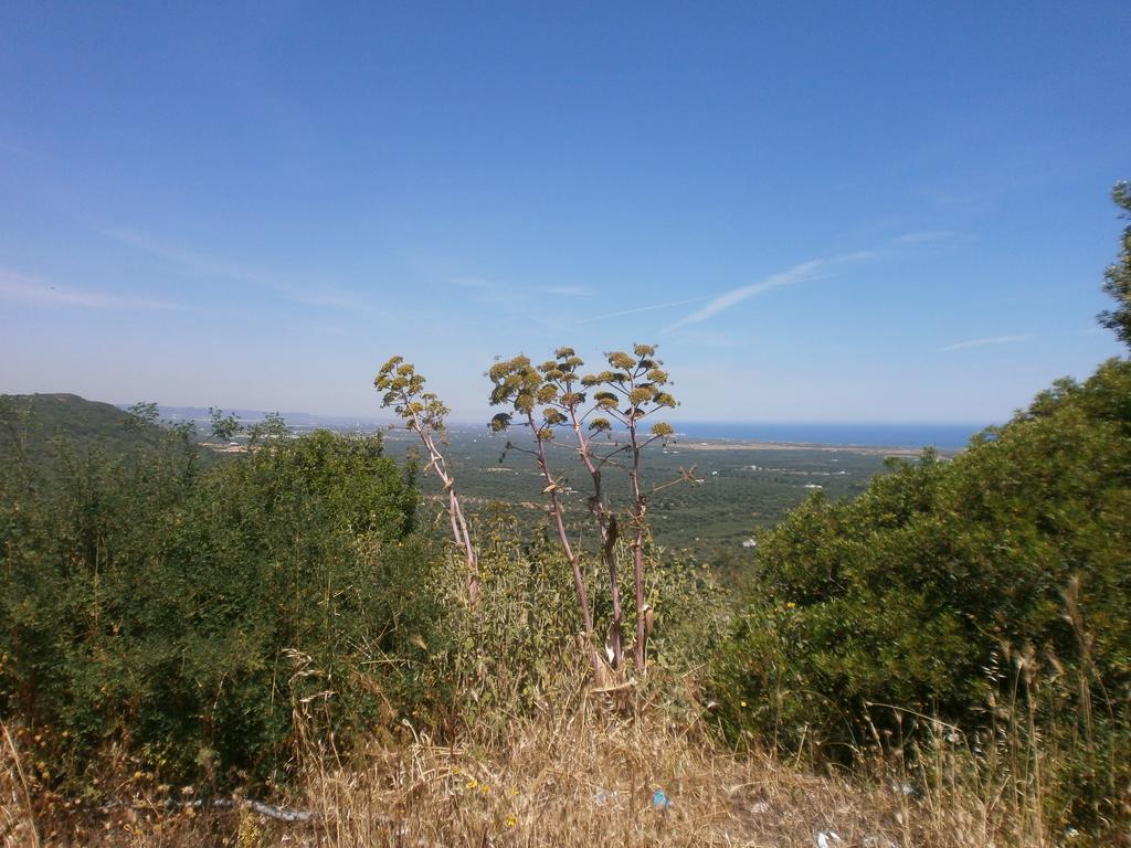Trullo Villa Giuliana Con Giardino Posizione Panoramica Free Wifi Ostuni Quarto foto